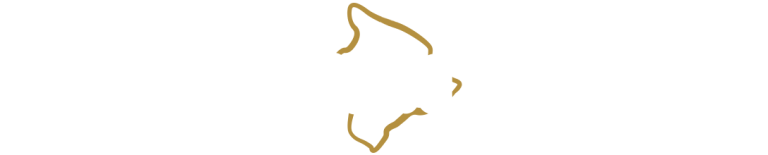 Big Island Booch Kombucha logo