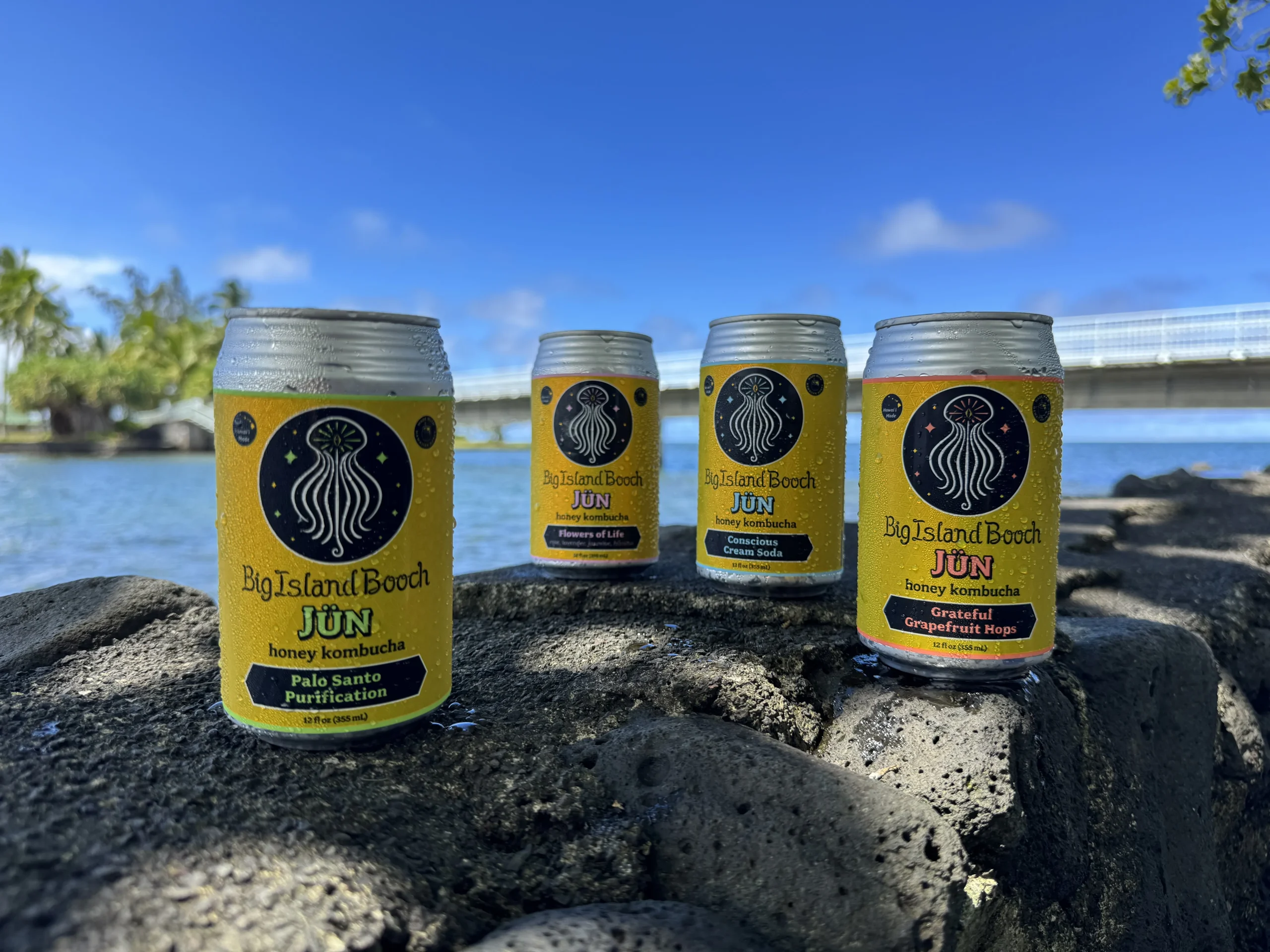 Four Big Island Booch Jün honey kombucha cans on lava rock at Hilo Bay