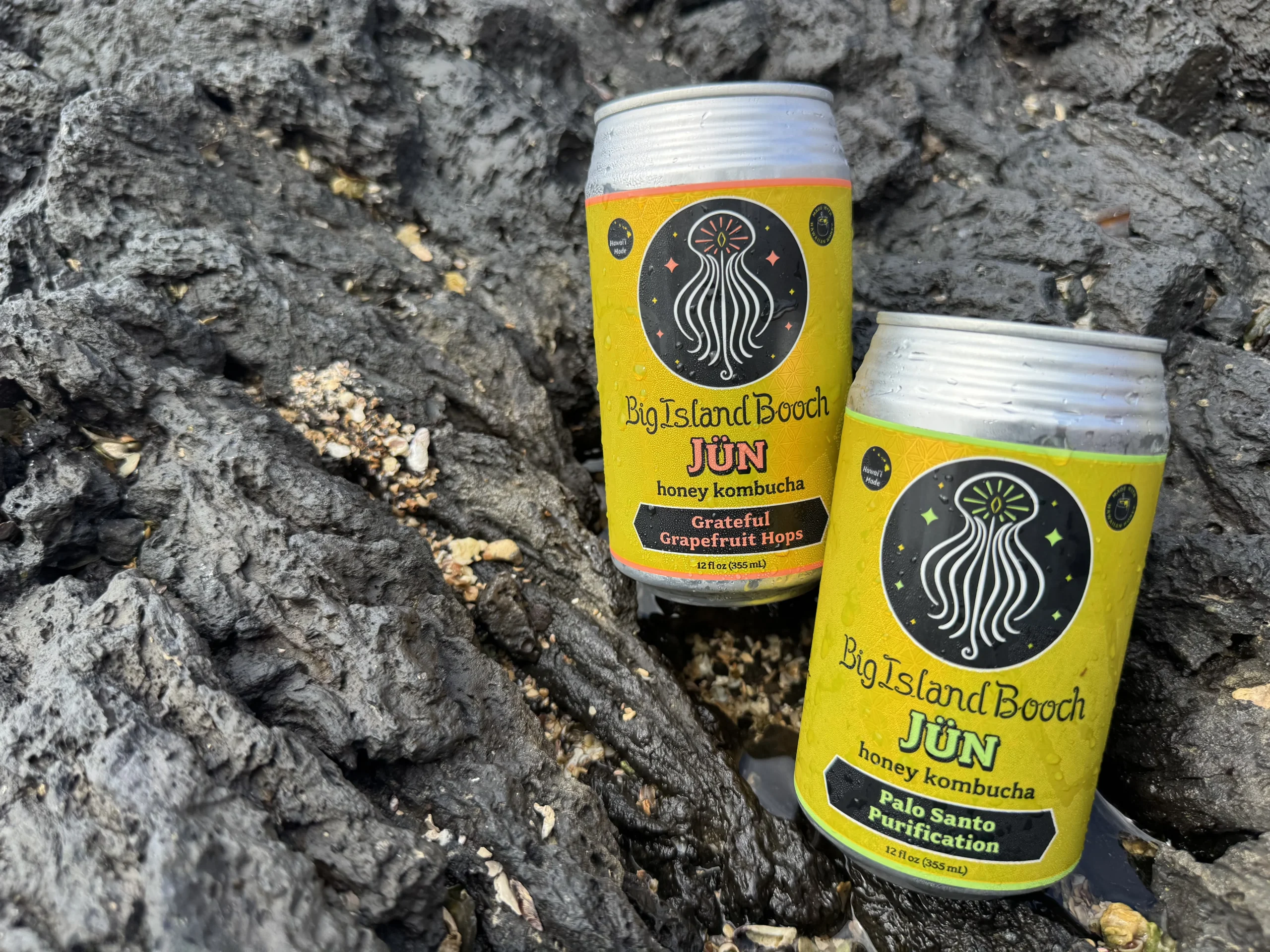 Big Island Booch Jün cans, Grateful Grapefruit Hops and Palo Santo Purification, on lava rock