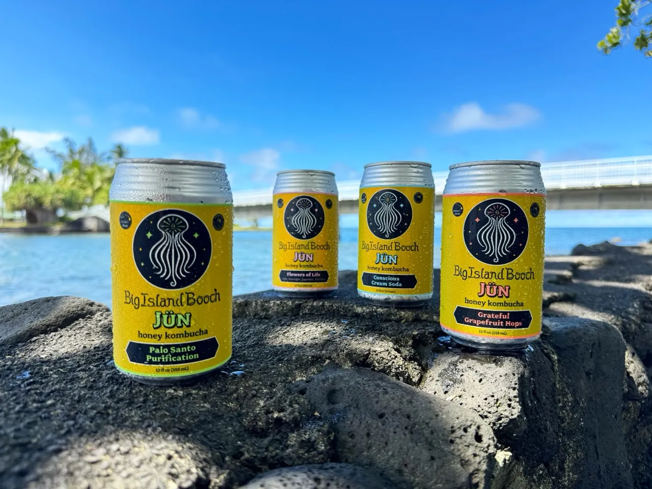 Four Big Island Booch Jün honey kombucha cans on lava rock at Hilo Bay