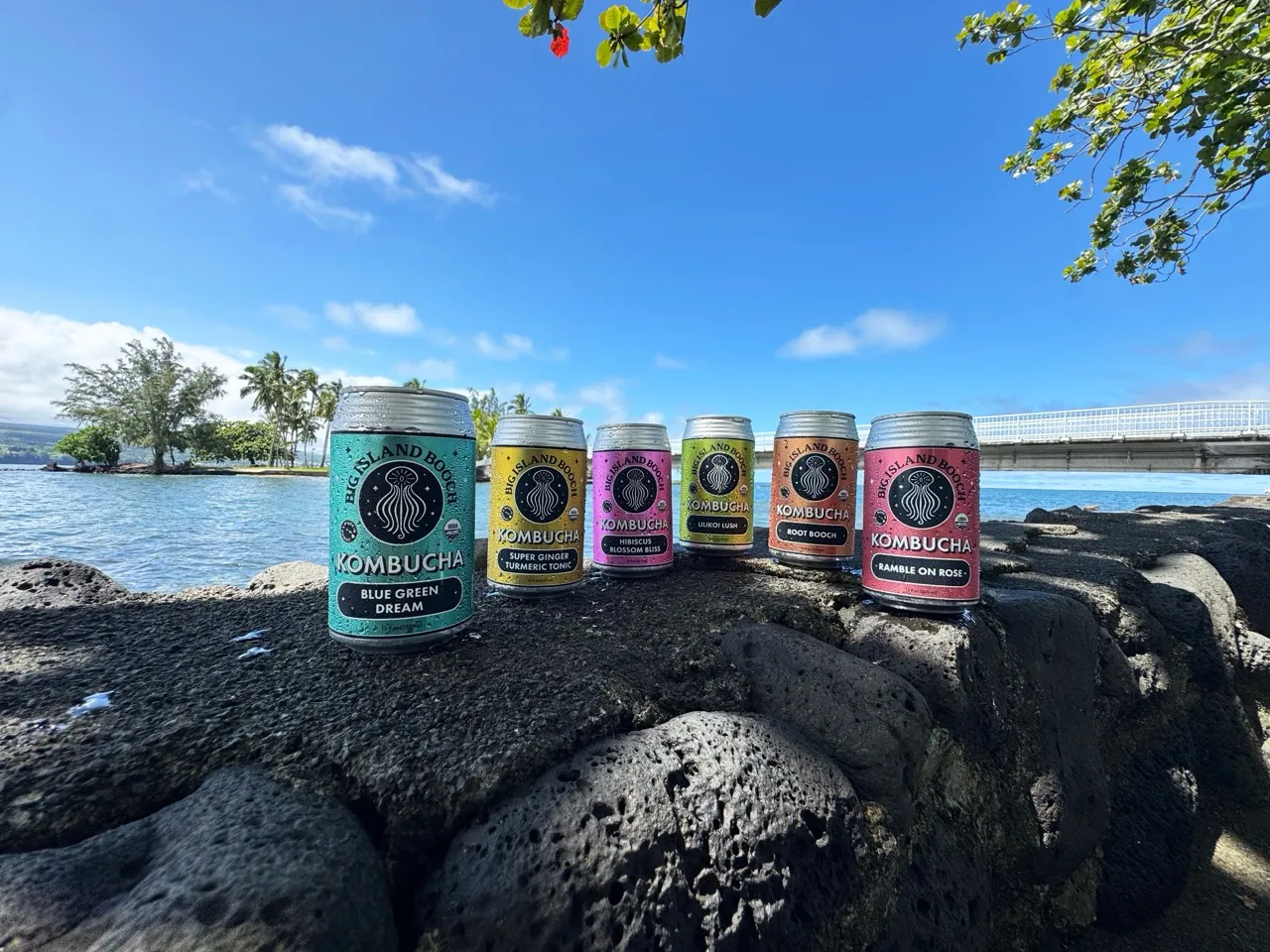 Six Big Island Booch kombucha cans lined up on lava rock at Hilo Bay