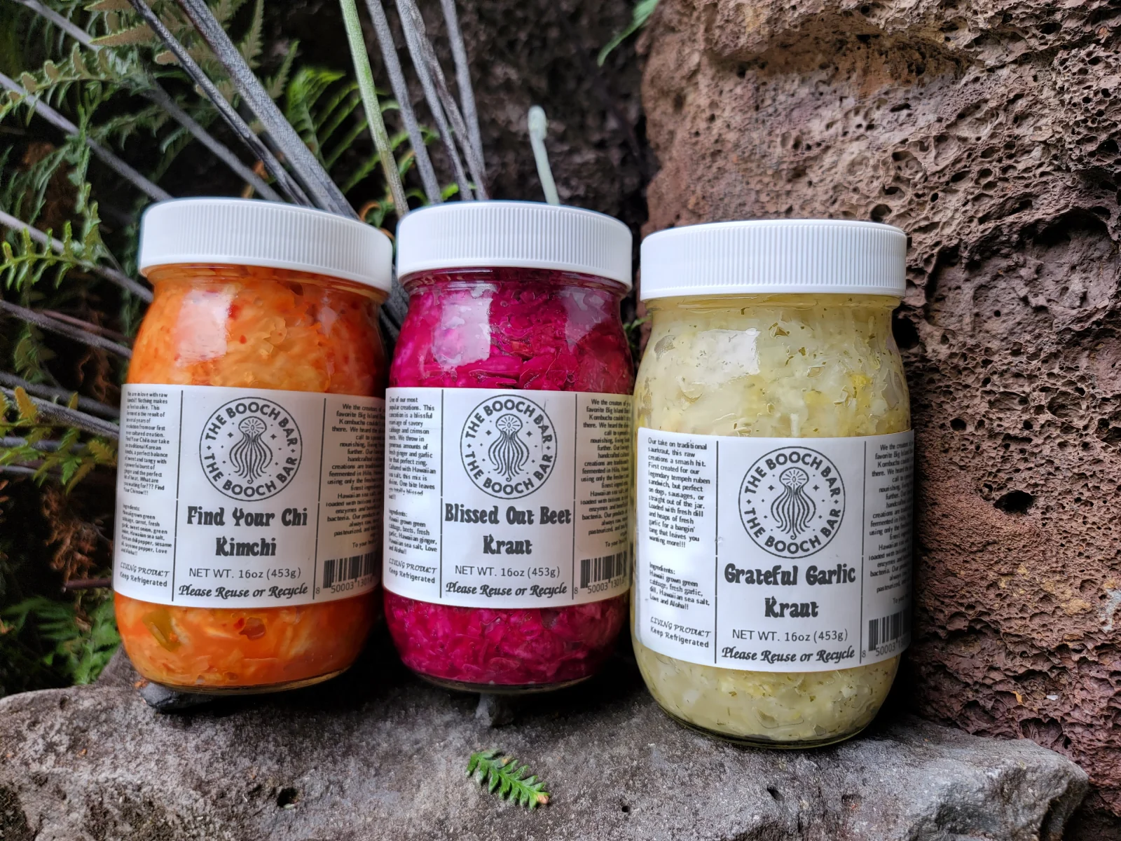 Three Booch Bar fermented jars - Find Your Chi Kimchi, Blissed Out Beet Kraut and Grateful Garlic Kraut - on lava rock.