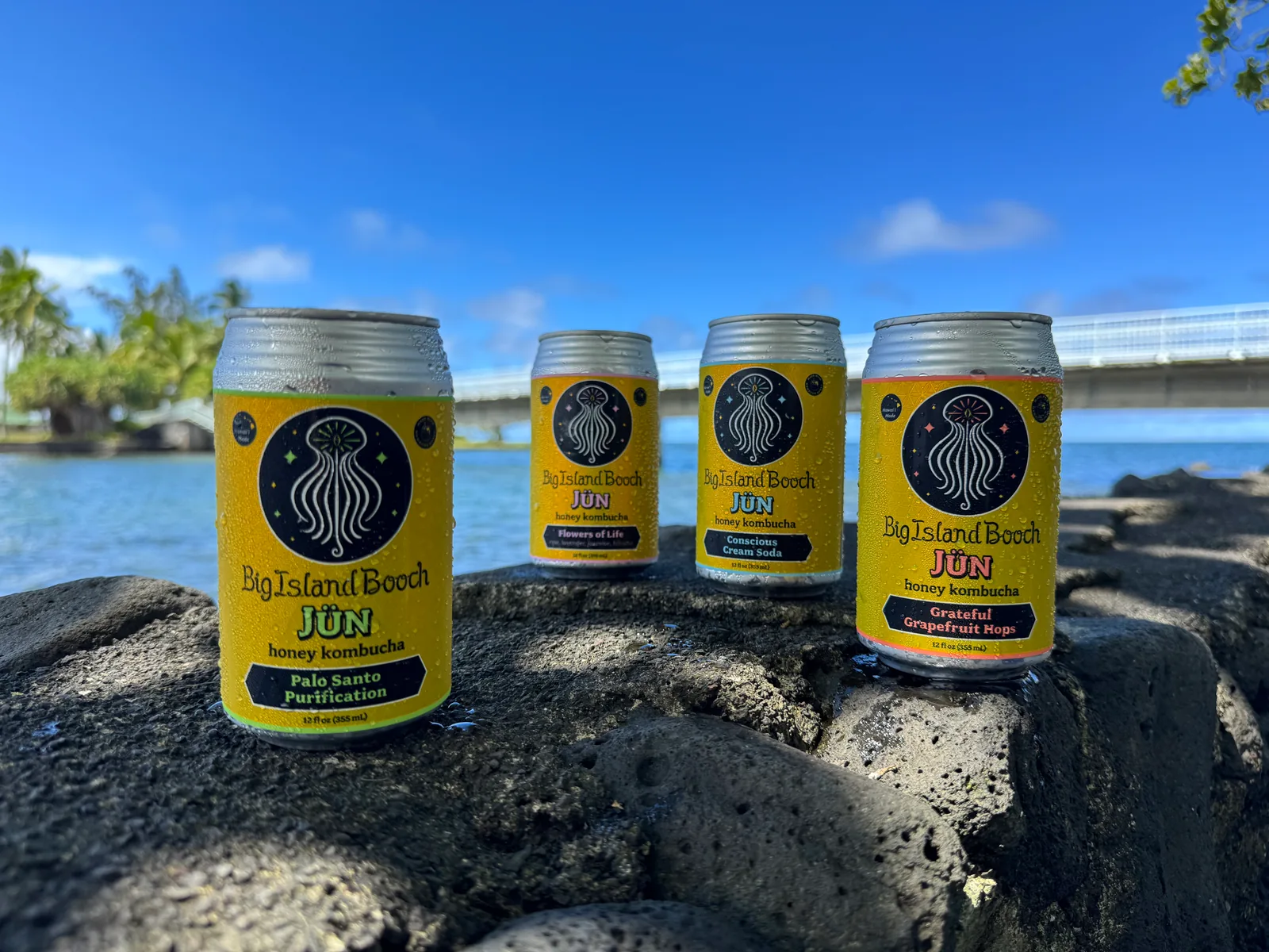 Four cans of Big Island Booch Jün honey kombucha on lava rock at Hilo Bay